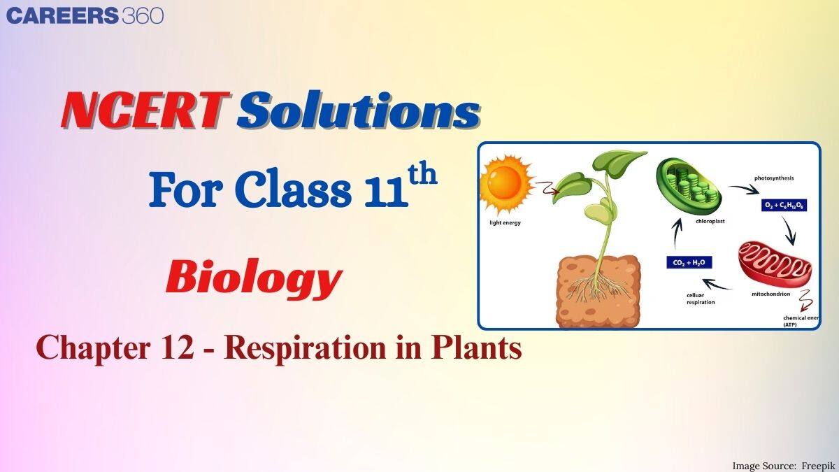 NCERT Solutions for Class 11 Biology Chapter 12 Respiration in Plants